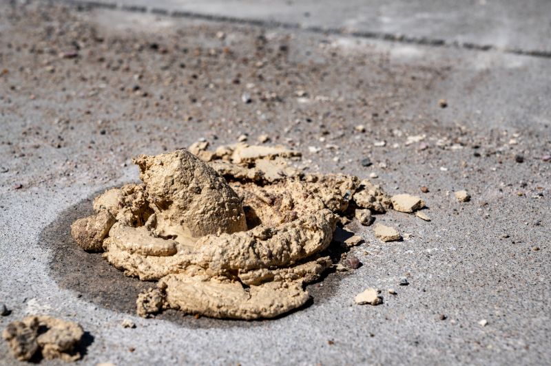 Warranty & Quality Checks